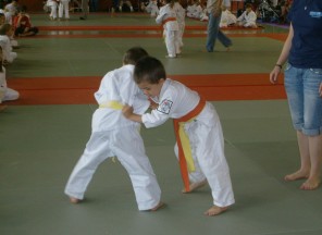 judo - csc davin