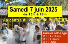 Mousse Party/Expositions/Vide greniers 2025 (fête votive)
